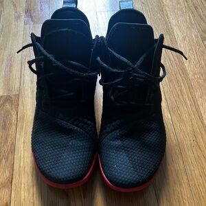 Lebron James sneakers